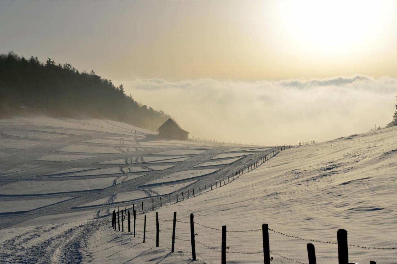 Hotel Bad Ramsach Laufelfingen ภายนอก รูปภาพ